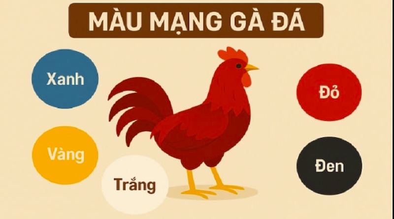 Gà màu vàng đất thuộc hành Thổ – biểu tượng của sự bền bỉ và sức chịu đòn tốt